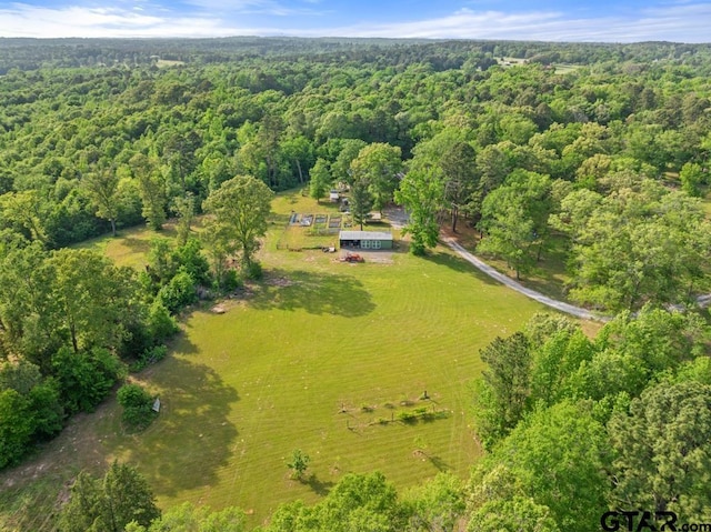 12550 County Road 2344, Tyler, TX 75707 - photo 48