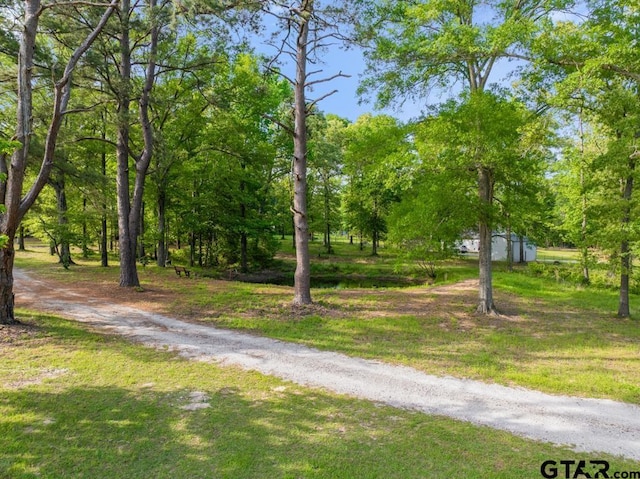 12550 County Road 2344, Tyler, TX 75707 - photo 42