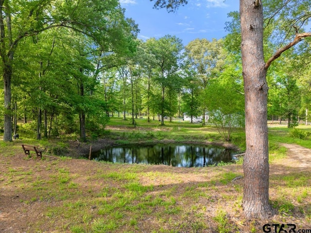 12550 County Road 2344, Tyler, TX 75707 - photo 43