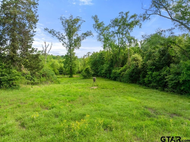12550 County Road 2344, Tyler, TX 75707 - photo 46