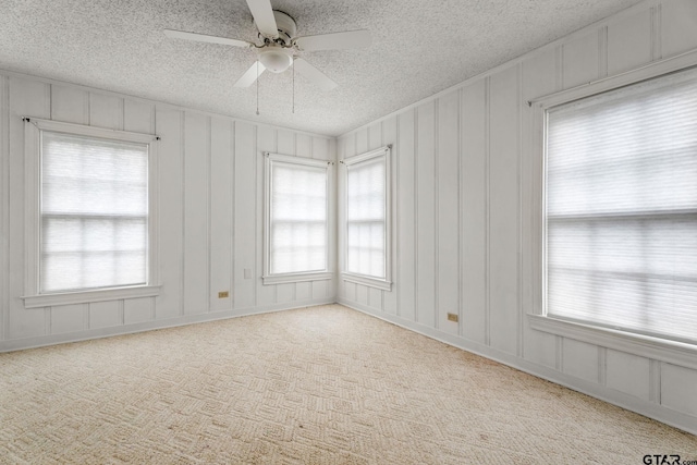 empty room featuring a healthy amount of sunlight, light carpet, and a textured ceiling