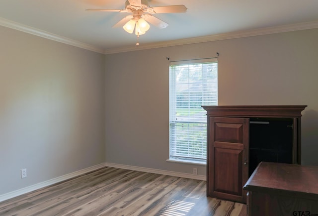8310 Columbia Dr, Tyler, TX 75703 - unfurnished office featuring light wood-style flooring, baseboards, crown molding, and ceiling fan
