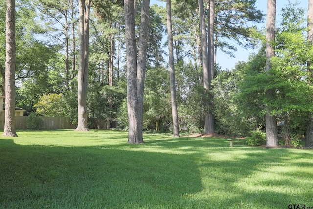 8310 Columbia Dr, Tyler, TX 75703 - view of yard