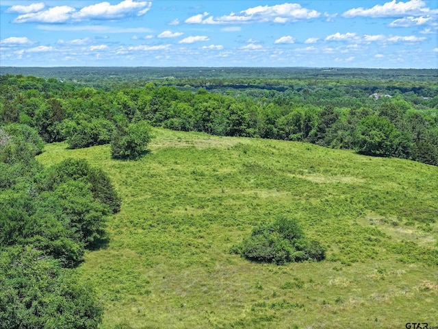 TBD Cr 2493, Bullard, TX 75757 - photo 13