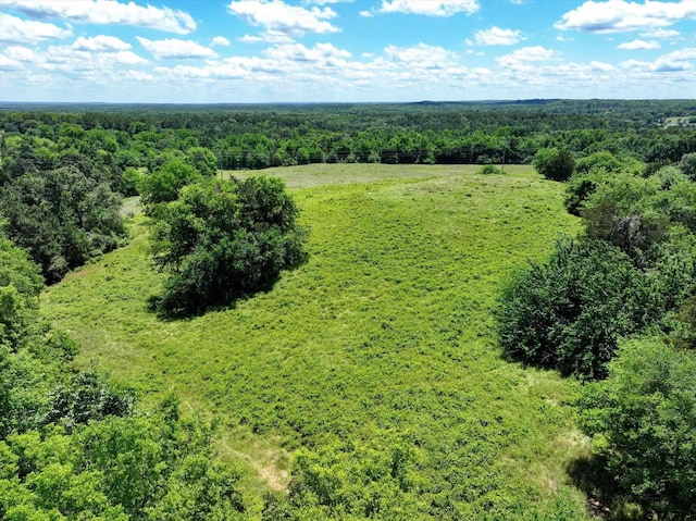 TBD Cr 2493, Bullard, TX 75757 - photo 11