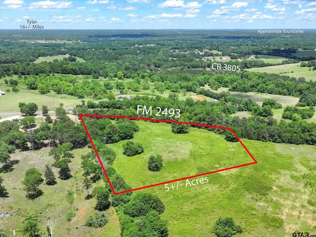 TBD Cr 2493, Bullard, TX 75757 - photo 4