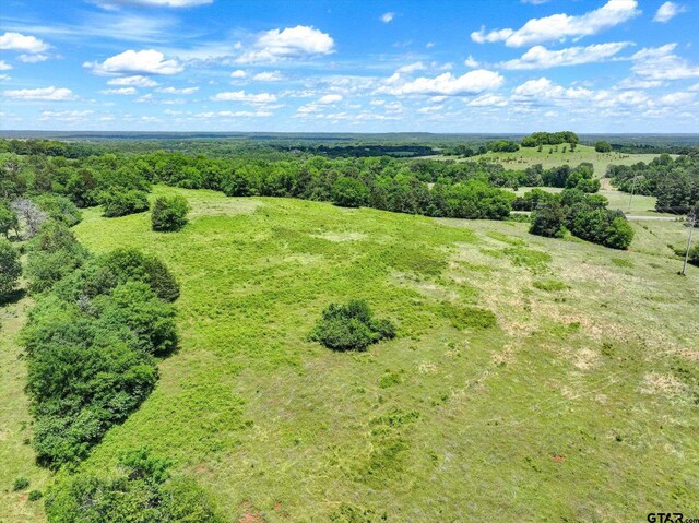 TBD Cr 2493, Bullard, TX 75757 - photo 3