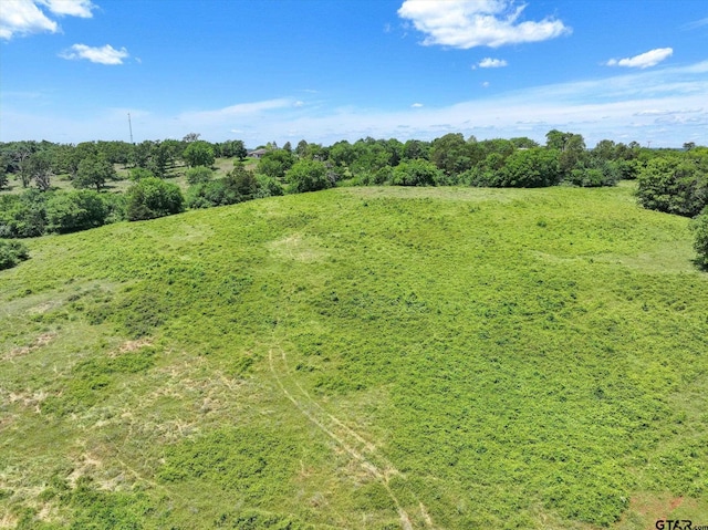 TBD Cr 2493, Bullard, TX 75757 - photo 2