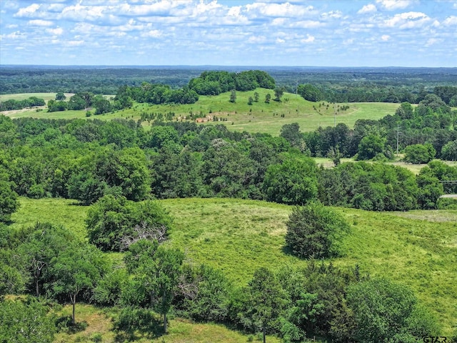 TBD Cr 2493, Bullard, TX 75757 - photo 12