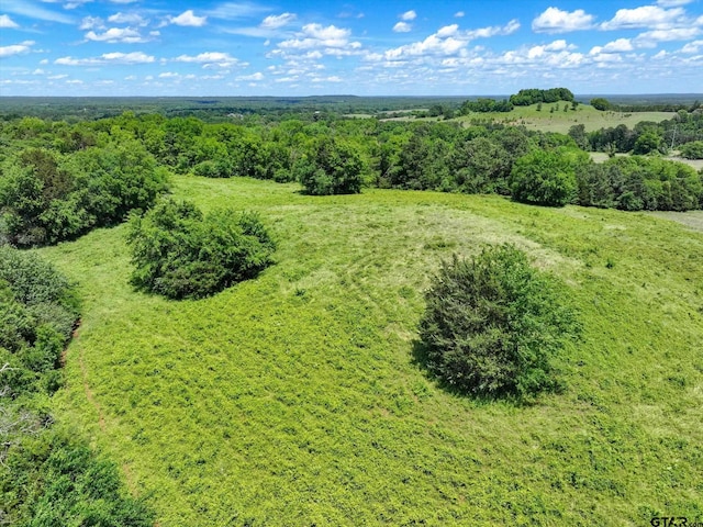 TBD Cr 2493, Bullard, TX 75757 - photo 14