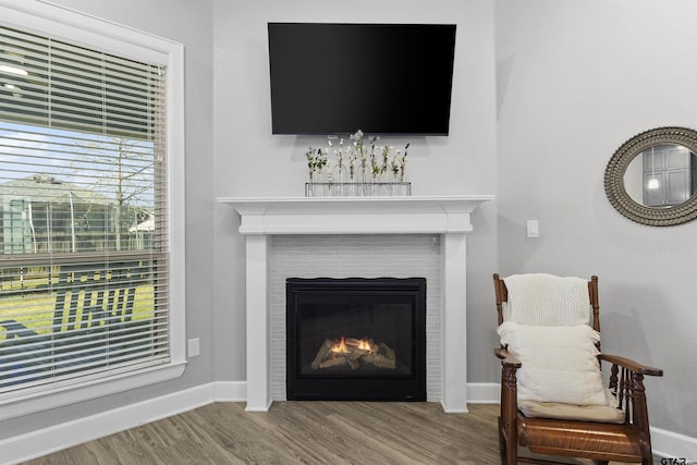 interior details featuring wood-type flooring and a tiled fireplace