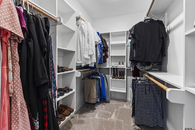 spacious closet with light carpet