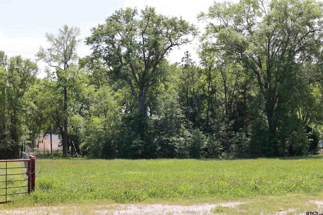 TBD Gatlinburg Rd, Bullard, TX 75757 - photo 5