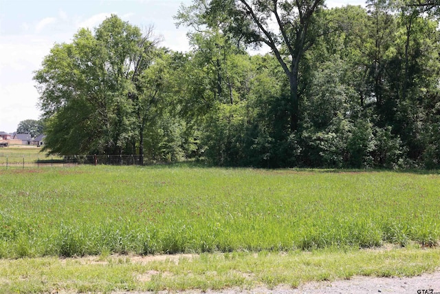 TBD Gatlinburg Rd, Bullard, TX 75757 - photo 4