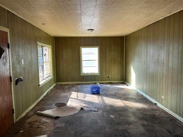 spare room featuring wood walls