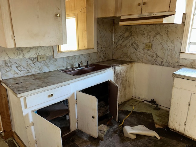 kitchen with sink