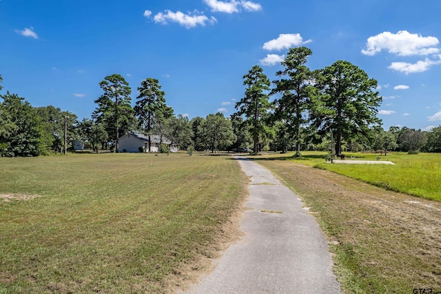10038 County Road 313 E, Tyler, TX 75706 - photo 27