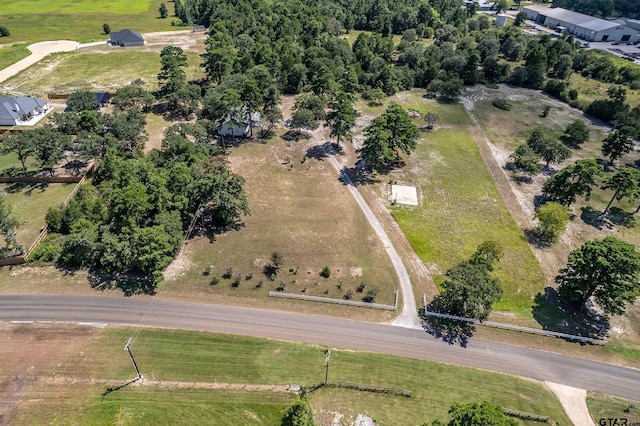 10038 County Road 313 E, Tyler, TX 75706 - photo 29