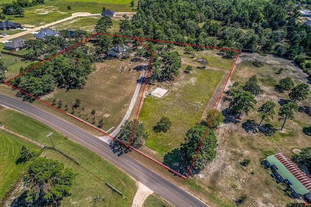10038 County Road 313 E, Tyler, TX 75706 - photo 28