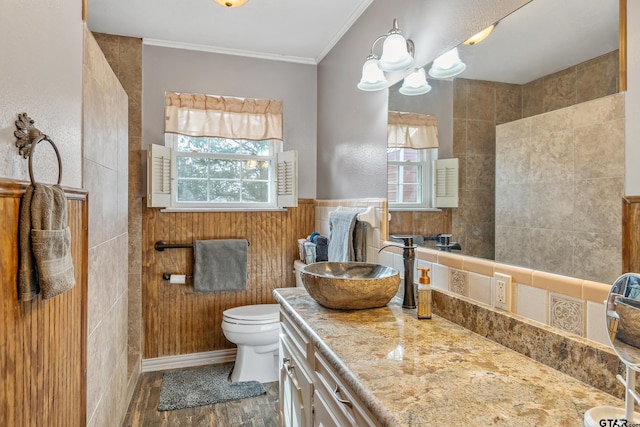 bathroom with ornamental molding, vanity, plenty of natural light, and wood-type flooring