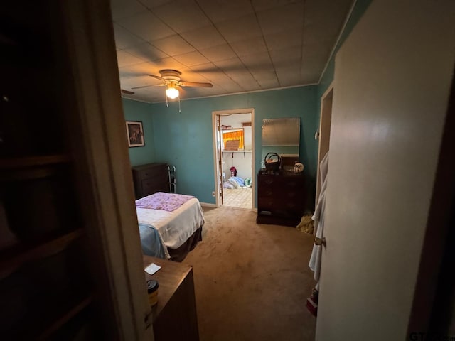 carpeted bedroom featuring a walk in closet and ceiling fan