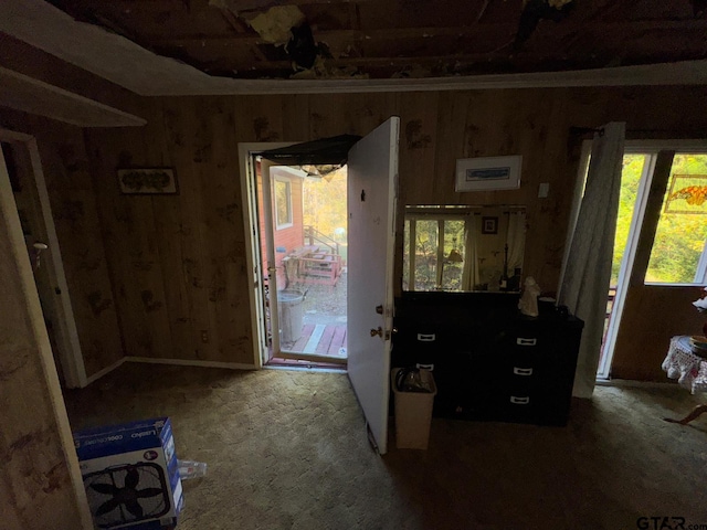 entryway featuring dark colored carpet and wood walls