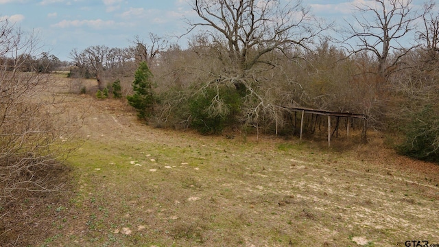 TBD County Road 4903, Athens, TX 75751