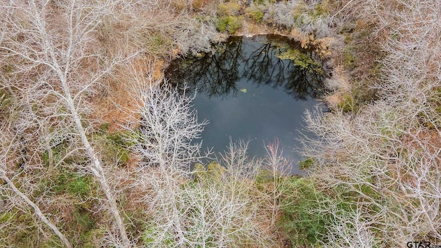 TBD County Road 4903, Athens, TX 75751