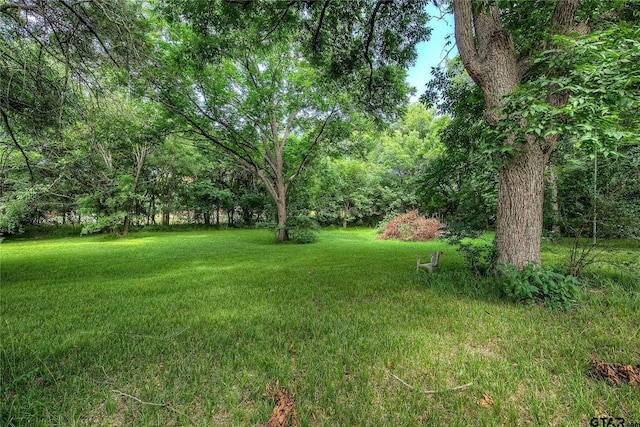 436 County Road 2095, Commerce, TX 75428 - photo 3