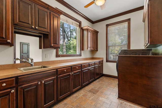 kitchen featuring dark brown cabinetry, ornamental molding, sink, and ceiling fan