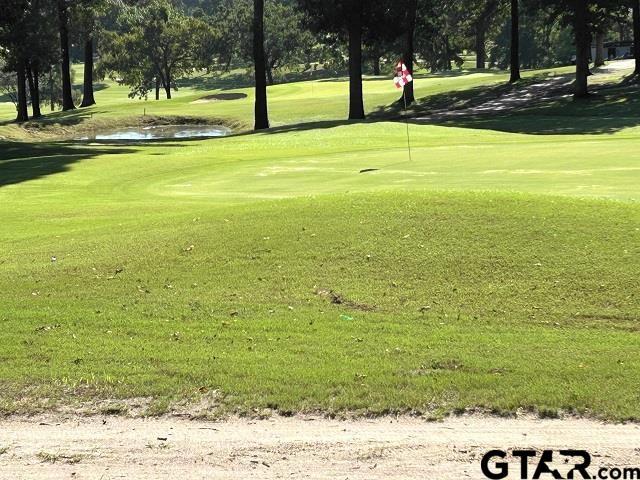 605 Green Ct, Athens, TX 75751 - photo 2