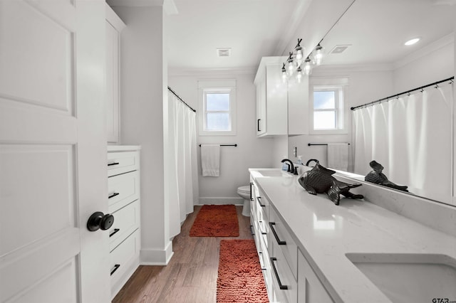 bathroom featuring hardwood / wood-style flooring, vanity, a healthy amount of sunlight, and crown molding