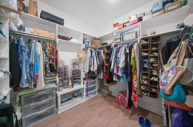 spacious closet with wood-type flooring