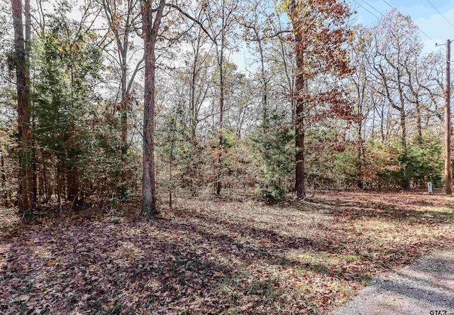 TBD San Saba, Mount Vernon, TX 75457