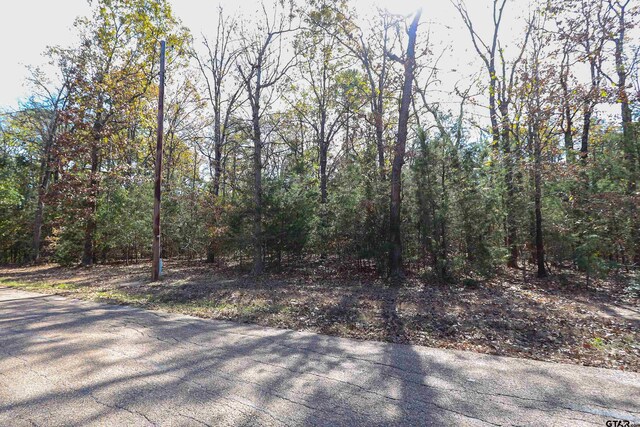 TBD San Saba, Mount Vernon, TX 75457