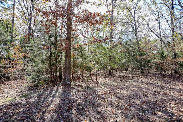 TBD San Saba, Mount Vernon, TX 75457