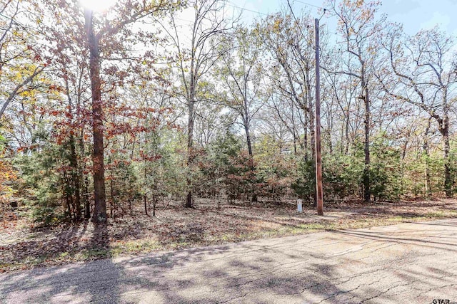 TBD San Saba, Mount Vernon, TX 75457