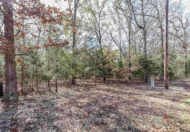 TBD San Saba, Mount Vernon, TX 75457