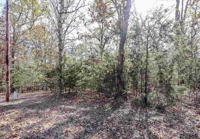 TBD San Saba, Mount Vernon, TX 75457