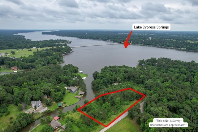 LOTS86, 87 Lakeshore Dr, Scroggins TX, 75480 land for sale