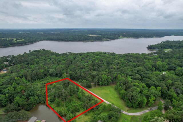 LOTS86, 87 Lakeshore Dr, Scroggins, TX 75480 - photo 9