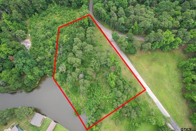 LOTS86, 87 Lakeshore Dr, Scroggins, TX 75480 - photo 7