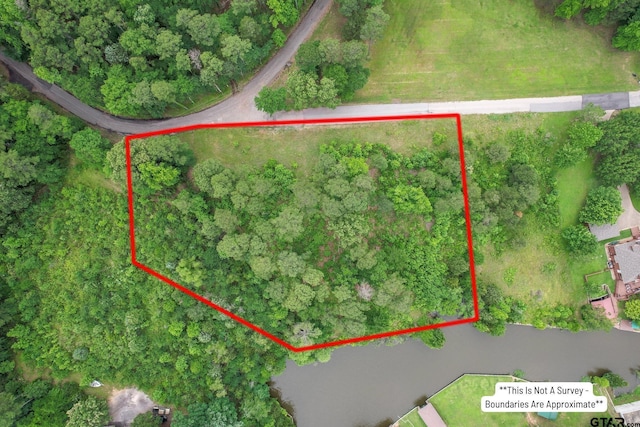 LOTS86, 87 Lakeshore Dr, Scroggins, TX 75480 - photo 4