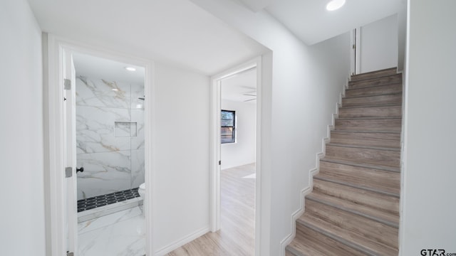 staircase featuring ceiling fan and hardwood / wood-style flooring