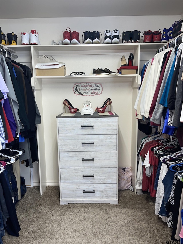 214 Rosebrook Cir, Whitehouse, TX 75791 - walk in closet with carpet