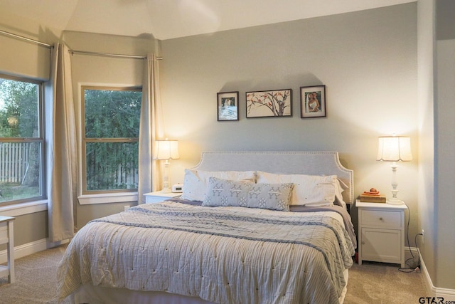 bedroom featuring multiple windows and light carpet