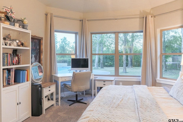 bedroom with carpet and multiple windows