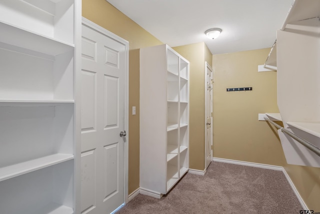 walk in closet featuring carpet floors