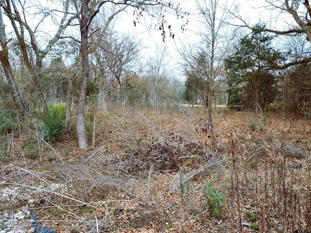 Listing photo 3 for TBD Cr 2330, Mineola TX 75773