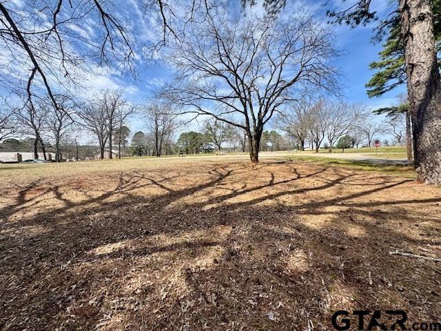 18328 Windjammer Pl, Flint TX, 75762 land for sale